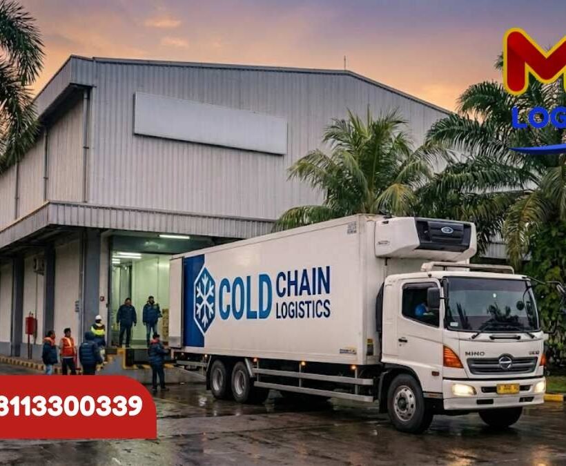 Cold Chain Logistics